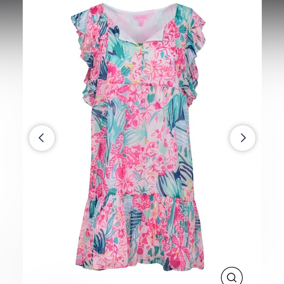 Lilly Pulitzer Dress - Picture 5 of 8